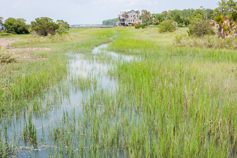 Wet Lands