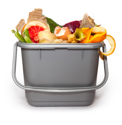 food-waste-recycling