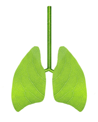 green-lungs