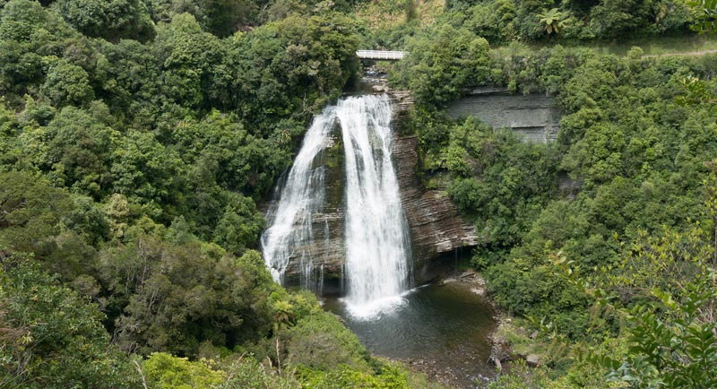 New Zealand - Te Urewera National Park