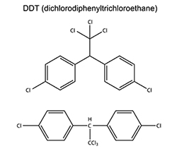 ddt