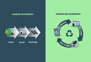 Circular Economy