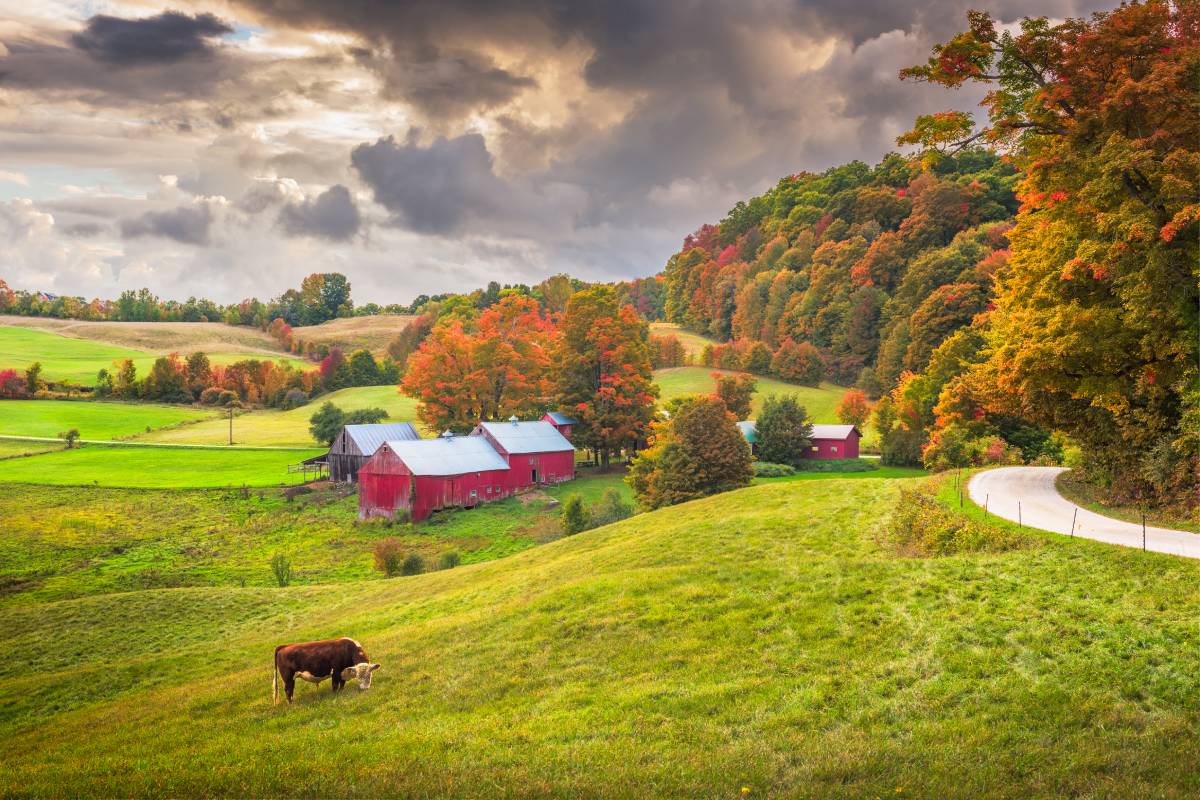 farmland