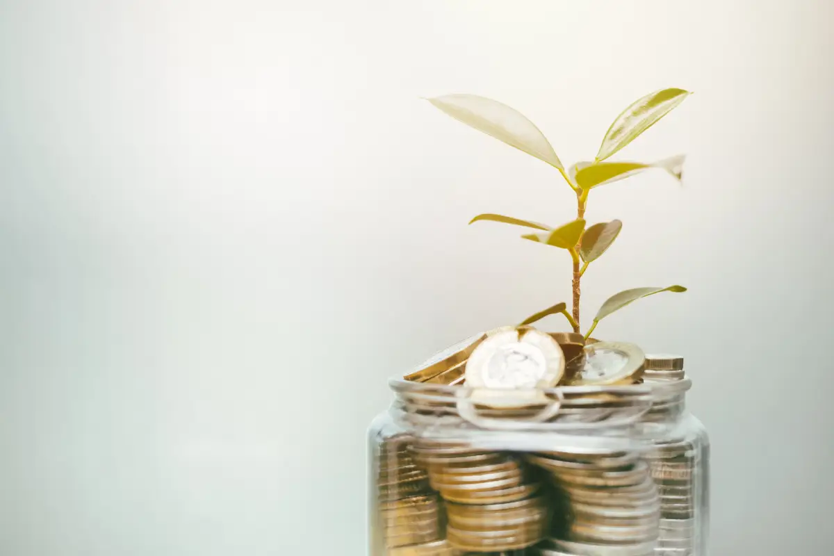 Plant growing in money sustainable investment strategy