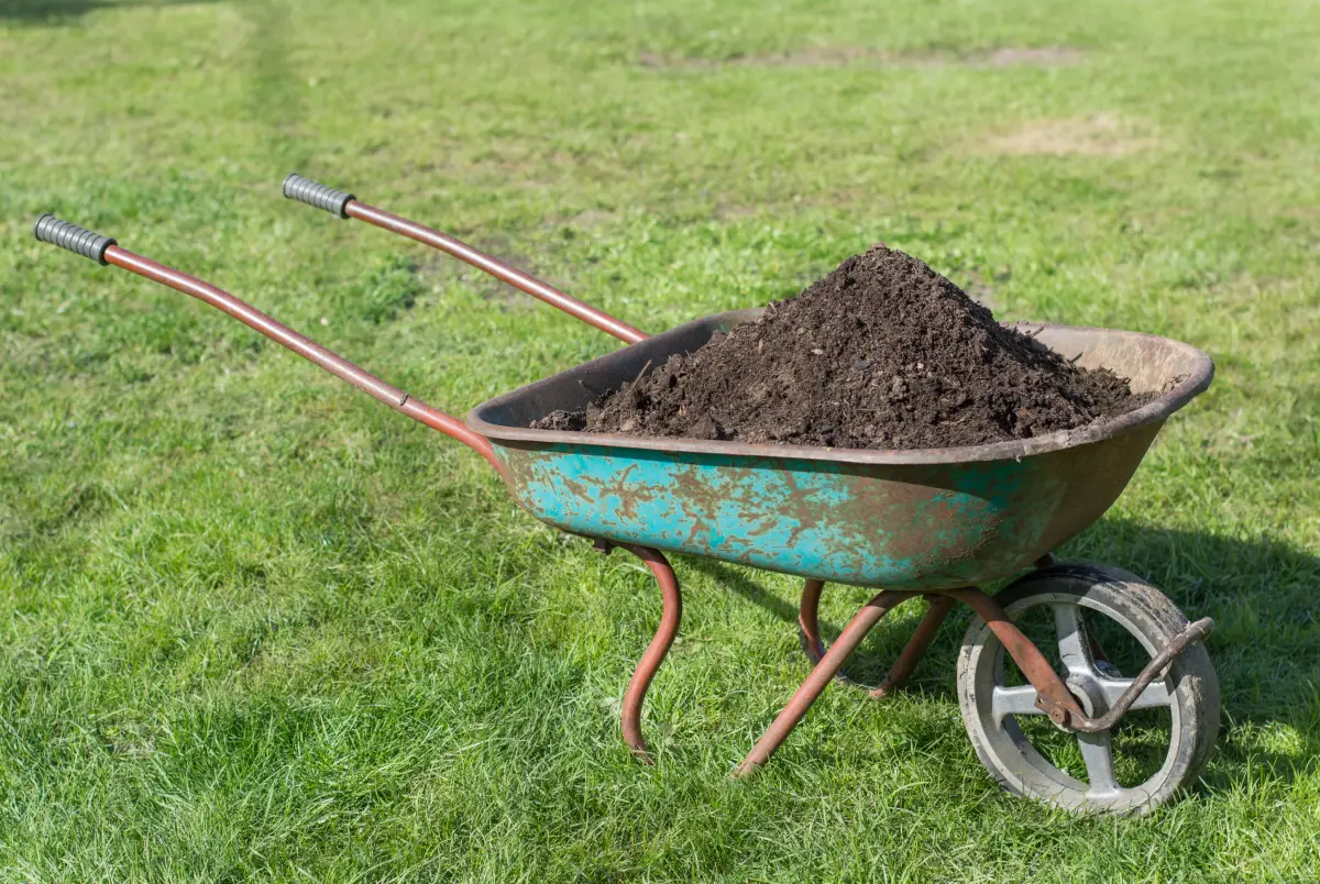 wheelbarrow full of compost