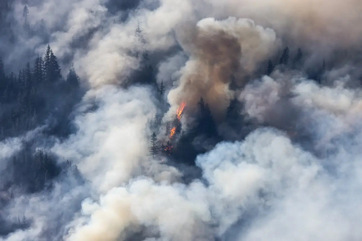 forest on fire and the connection between climate change, Air Quality and Wildfires