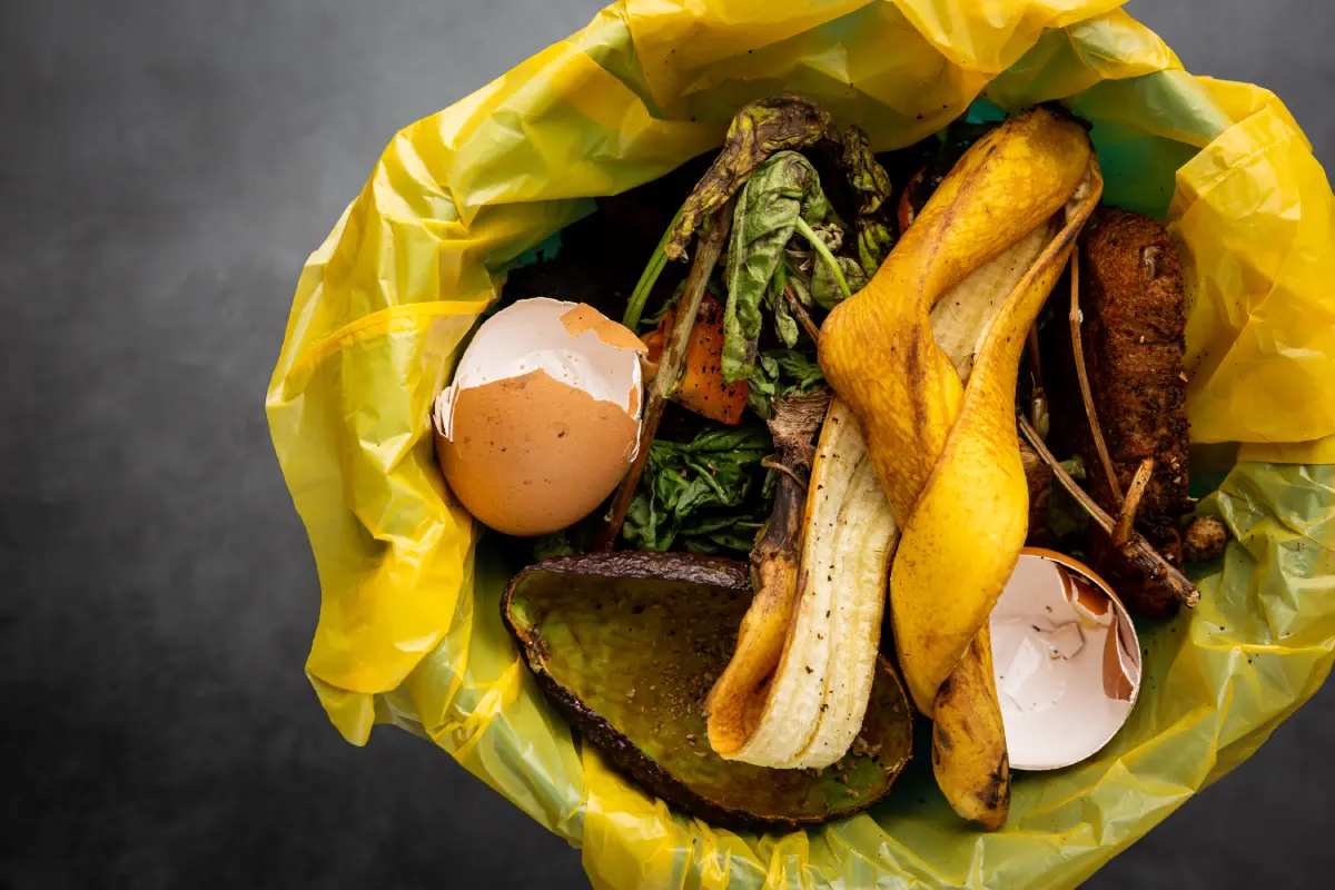 Food waste