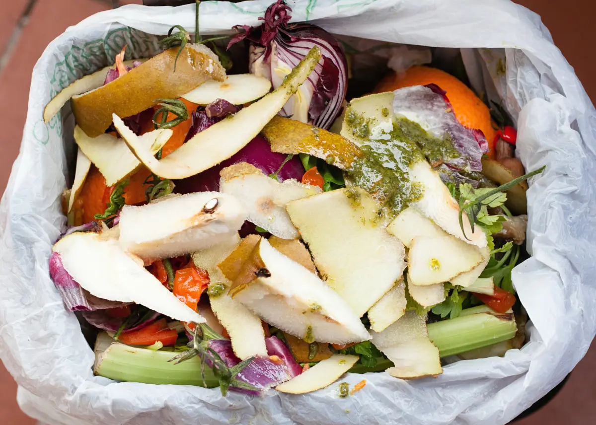 wasted food in a trash can