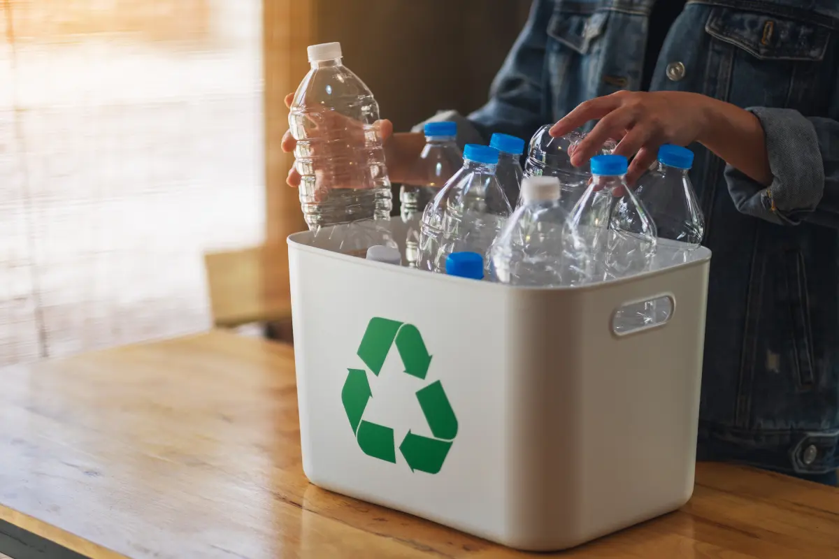 plastic bottles in a recycling container