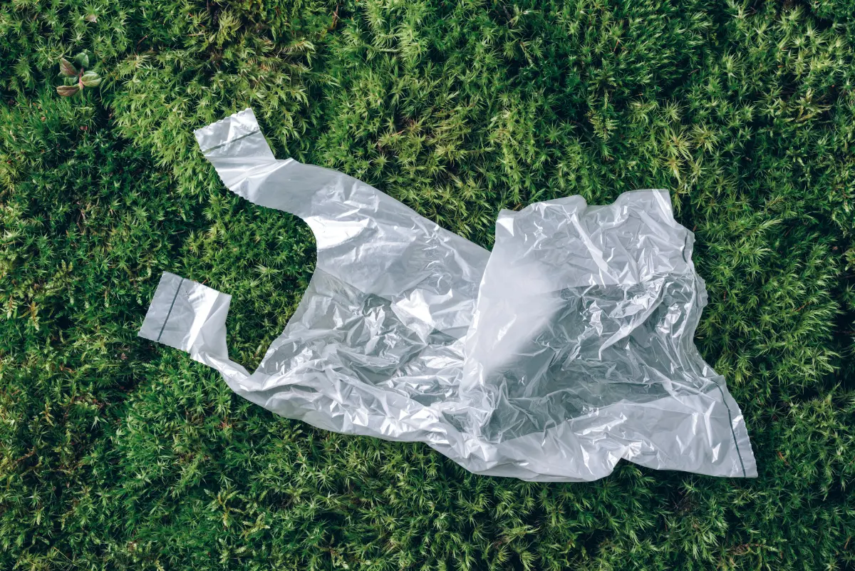 plastic bag laying on grass