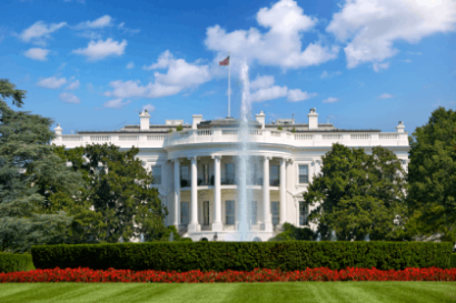 The white house