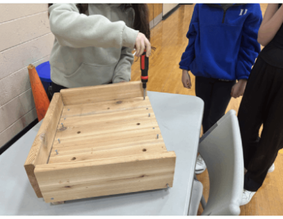 students building bird nesting platforms