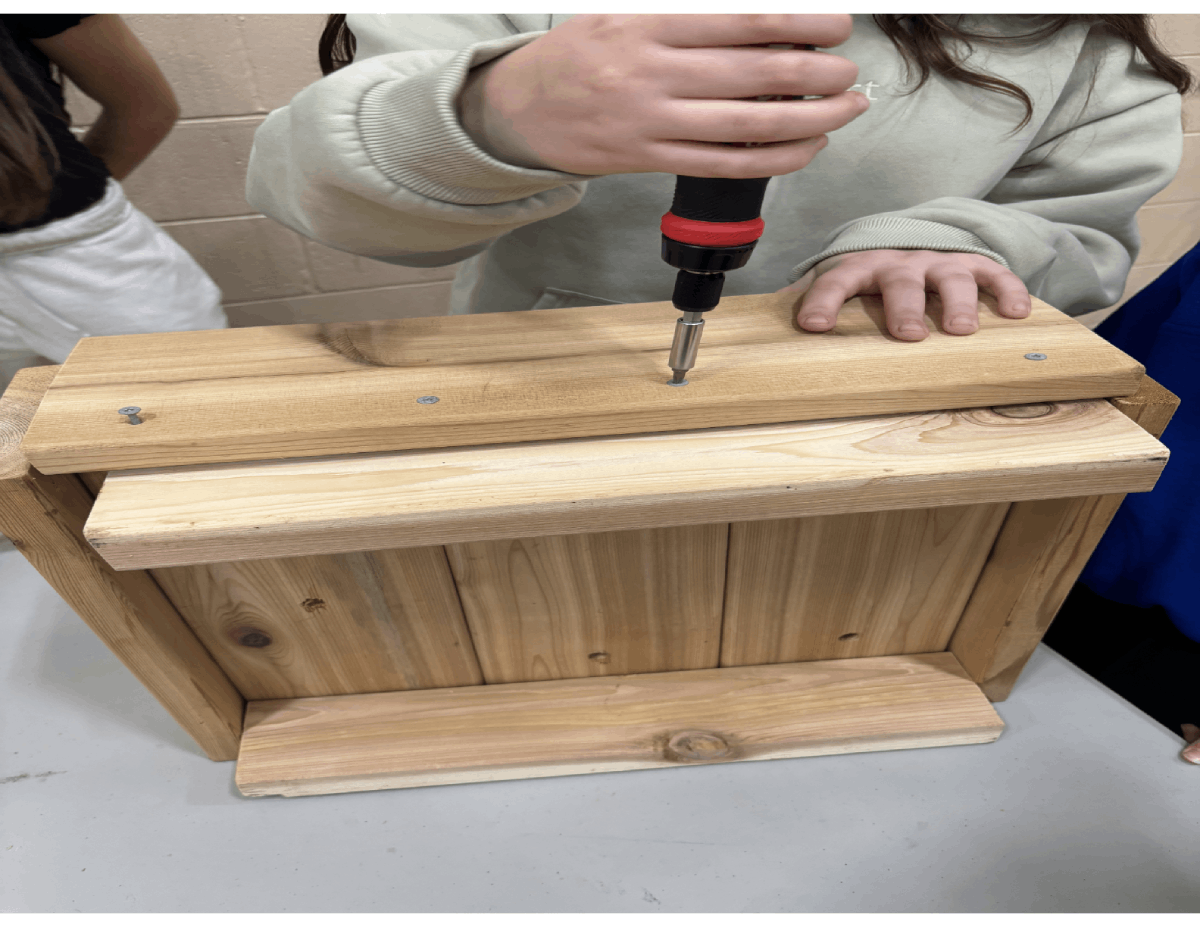 students building nesting platforms with screw driver