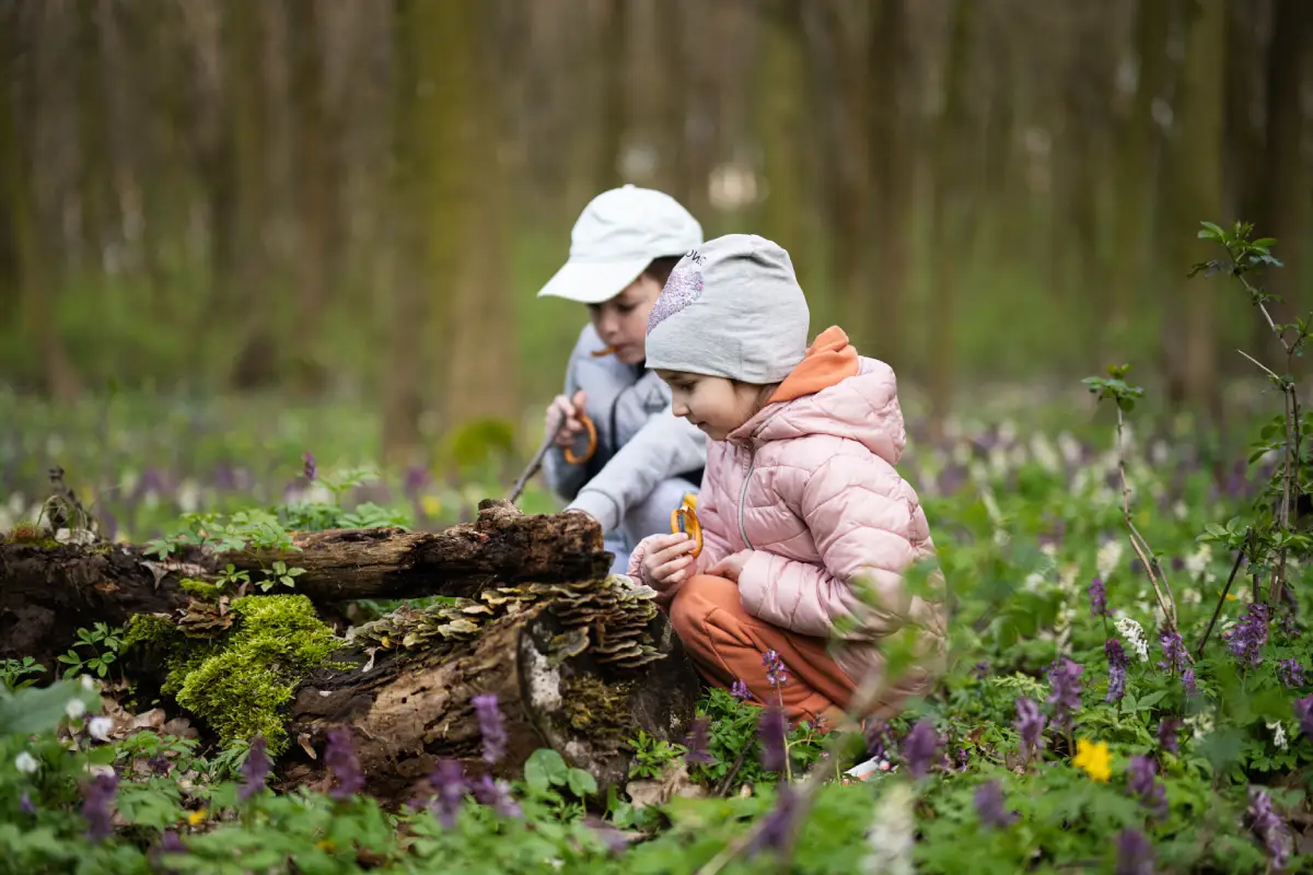 children in nature looking at wood
