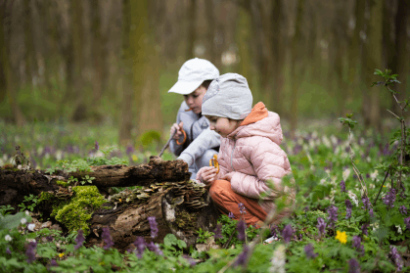 children in nature looking at wood